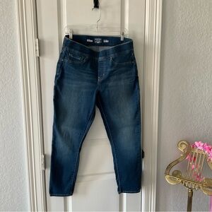 Levi’s Gold Signature Totally Shaping Pull-On Skinny Jeans. Size 14S